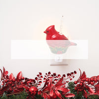 Lighting & Furnishings