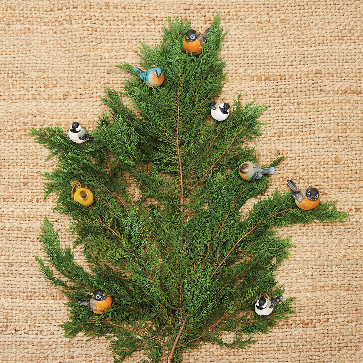 Feathered Friends