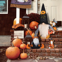 Halloween Gnomes