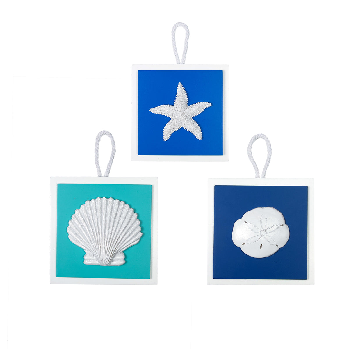 Shells on Plaques with Rope, Asst. of 3 – C&F Enterprises, Inc.