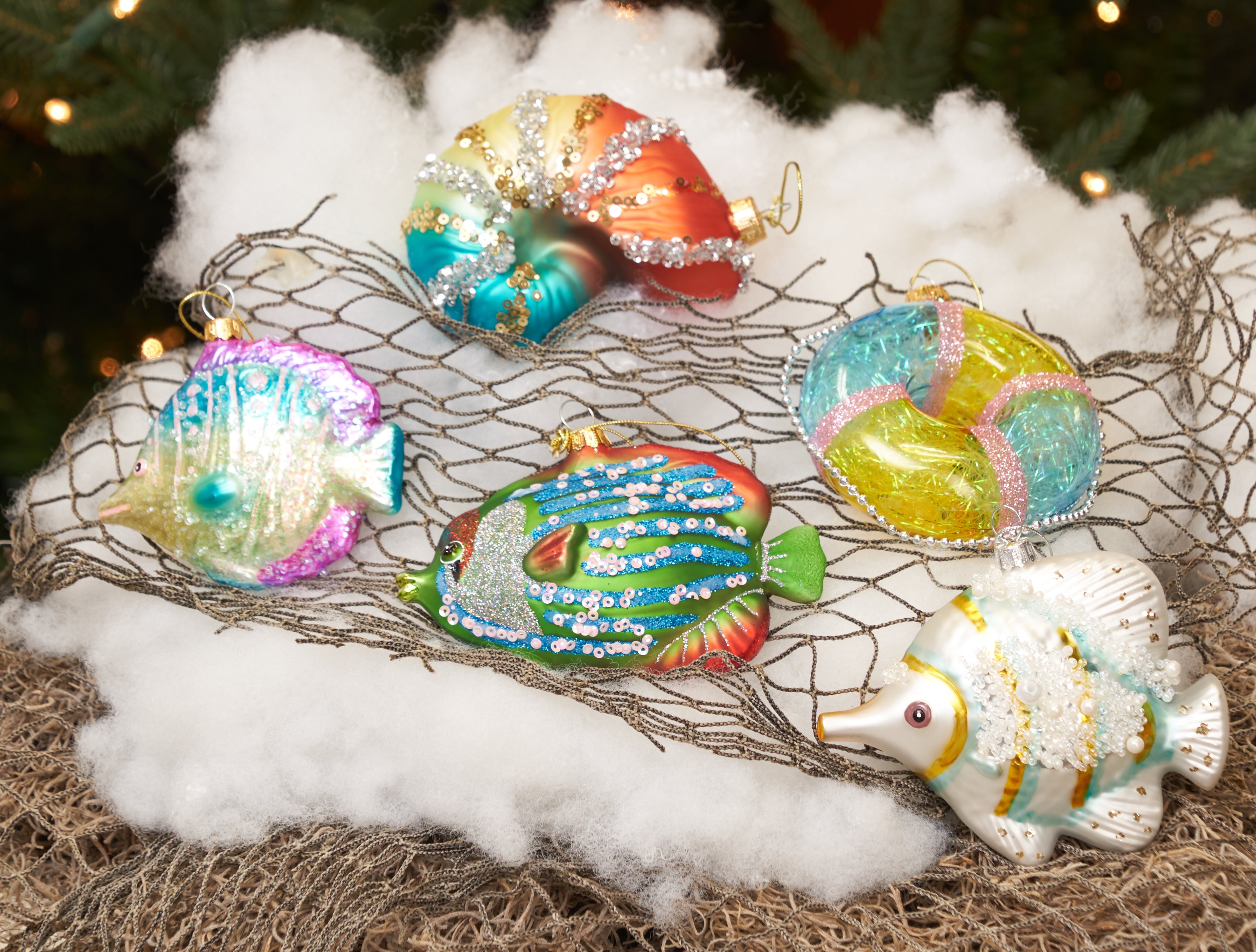 Coastal Life C&F Enterprises, Inc.